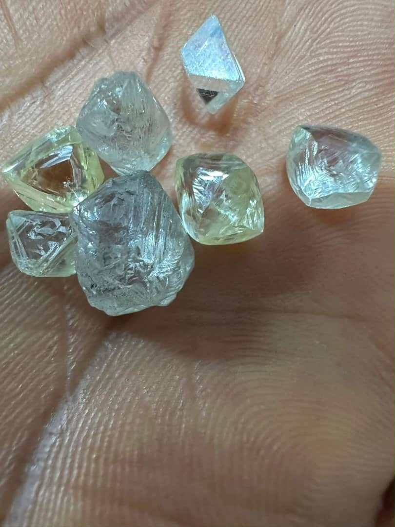Rough diamonds close up on a palm